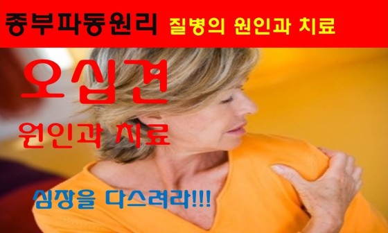 종부테라피 이미지