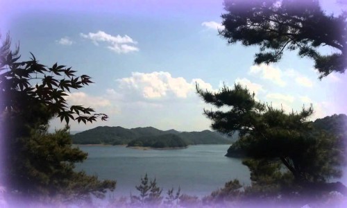 해바라기 뮤직 이미지