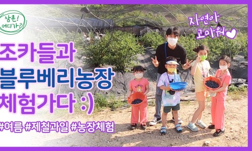 삼촌이모과일 이미지