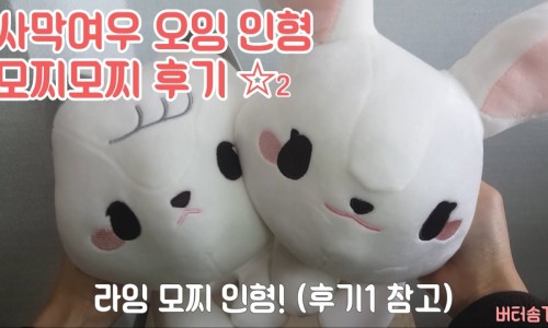 버터솜 이미지