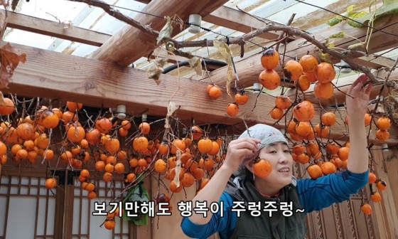 월인천강나비황차원 이미지
