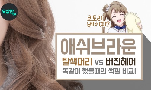 라라요상 이미지