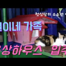 별이네하우스 이미지