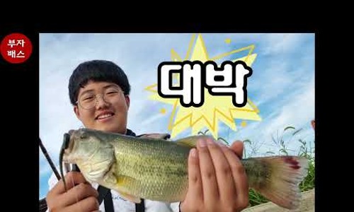 강화발이피싱? 이미지