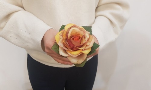 참플레르 이미지