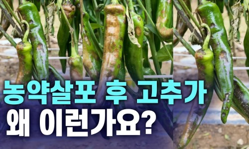 하나로농약 이미지