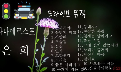 라나 이미지