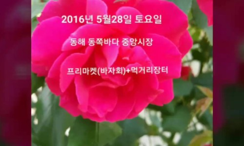 동해먹거리장터 이미지