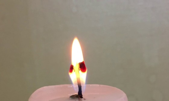 밀유 이미지