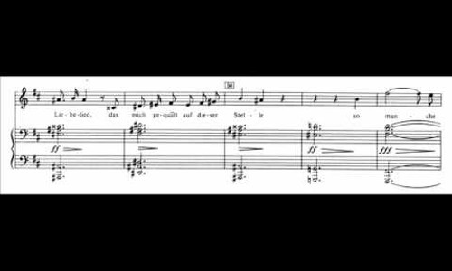 슈베르트 백조의 노래,슈베르트 가곡,슈베르트 아르페지오네 소나타,슈베르트 자장가,슈베르트 세레나데 악보,슈베르트 마왕 가사,슈베르트 송어,슈베르트 세레나데 가사,슈베르트 겨울나그네,슈베르트 마왕,