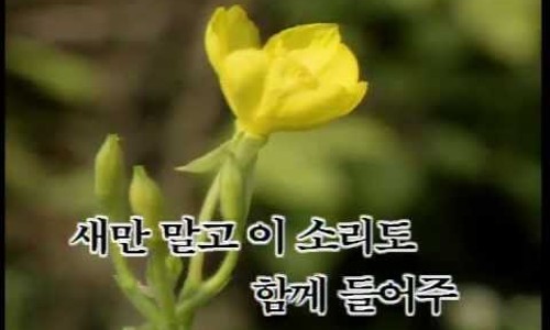 노래꽃피는마을 이미지
