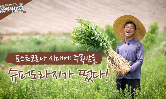 대관령 농사꾼 이미지