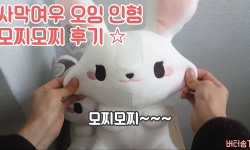 버터솜 이미지