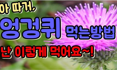 청양친환경블루베리농장 이미지