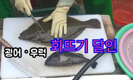 광어.우럭 이미지