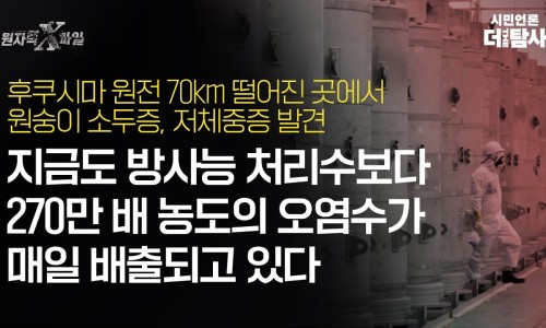 (주)모닝 이미지