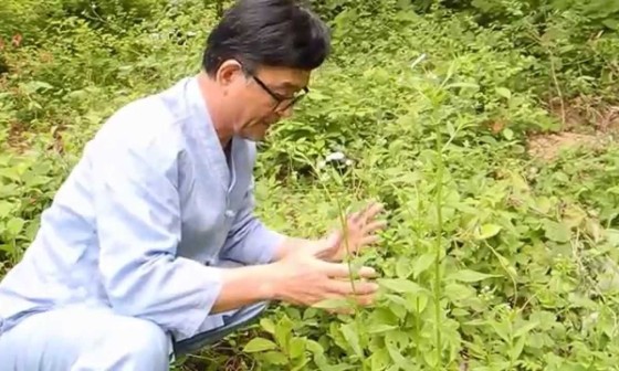 가원펜션 이미지