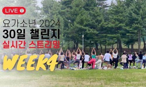 대박라이브 이미지