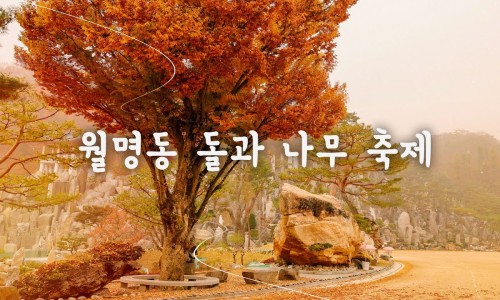 돌과나무 이미지