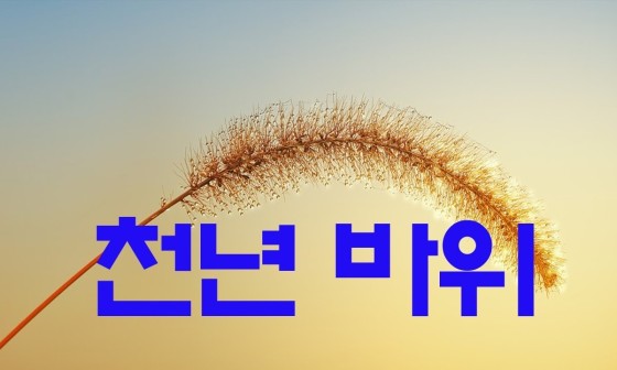 천년바위 이미지