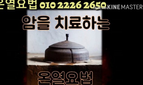 라파전위 이미지