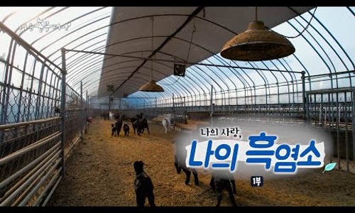 그린팜 이미지
