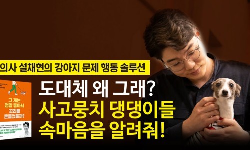 (주)동아일보사 이미지
