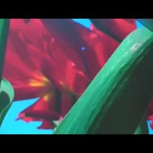 피필로티 리스트(Pipilotti Rist)/'하늘로 오르다(Spear To Heaven ...