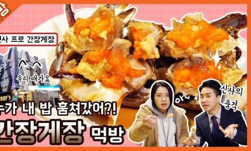제이지프로 이미지