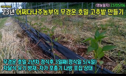 나주배유기 이미지