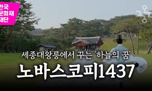 노바뮤직 이미지