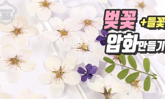 드라이하우스 이미지