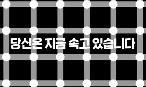 공다방 이미지