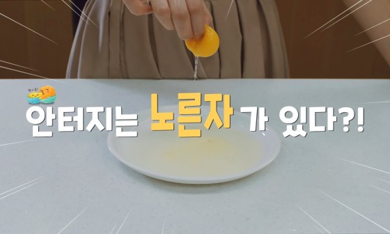 네이처킹덤 이미지