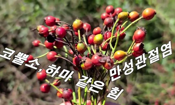 공물소 이미지