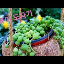 아름농원 이미지
