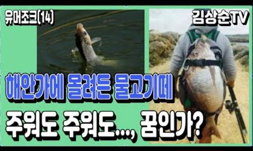 물고기뱅크 이미지