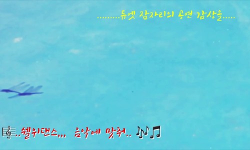 shallwedance(쉘위댄스) 이미지