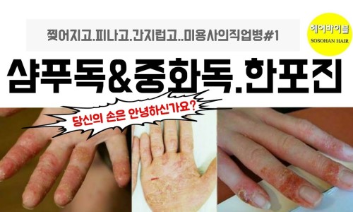 엘리야헤어 이미지