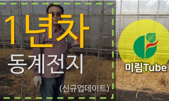 미림 이미지