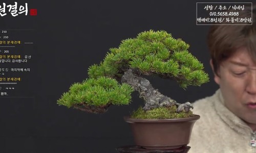 대야원 이미지