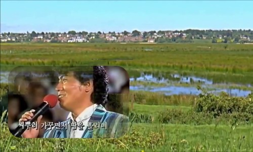 강촌에살고싶네 이미지