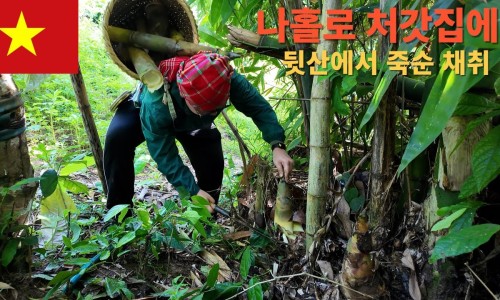 한베투어 이미지