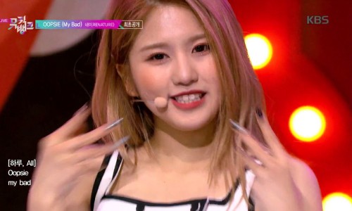 네이쳐 뮤직(Nature music) 이미지