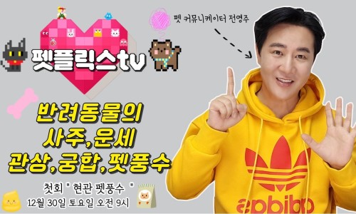 닭플릭스 이미지