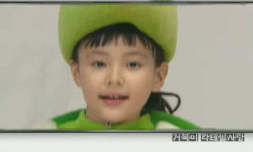 달빛 거북이 이미지