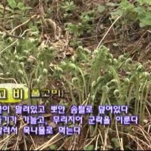 무울 이미지
