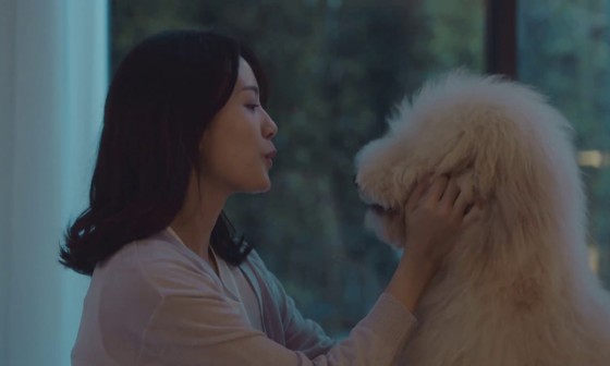 템파머 이미지