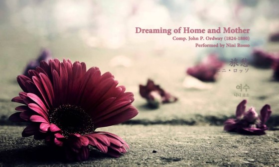 여수home 이미지