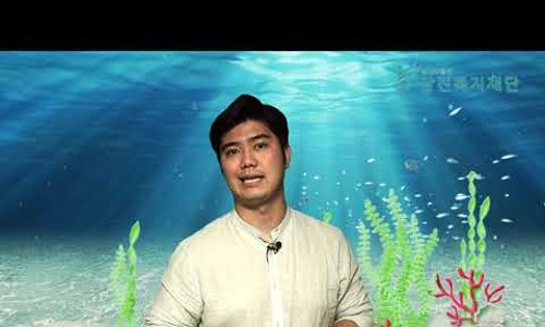 광진담쟁이협동조합 이미지